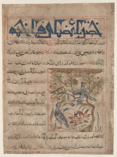 Cechy Ringdoves recto, O dobrodziejstwach przepiórek verso..., c. 1300. autorstwa Unbekannt
