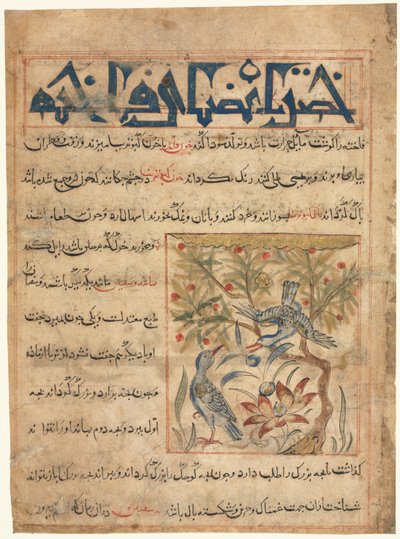 Cechy Ringdoves recto z Manafi al-Hayawan O użyteczności zwierząt, c. 1300. autorstwa Unbekannt
