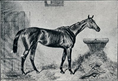 Królowa Berta, XIX wiek, 1911 autorstwa Unbekannt