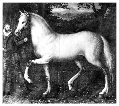Królowa Elżbieta jest koniem, 1896 autorstwa Unbekannt