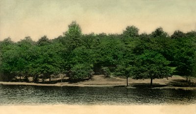 Queensmere, Wimbledon Common, Londyn, 1903. autorstwa Unbekannt