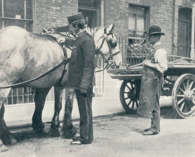 Inspektor RSPCA badający konia, c1903 1903 autorstwa Unbekannt