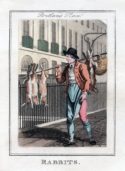 Króliki, Portland Place, Londyn, 1805 autorstwa Unbekannt