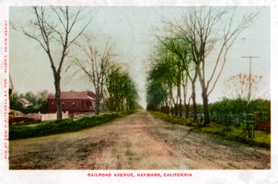 Railroad Avenue, Hayward, Kalifornia, 1905 autorstwa Unbekannt