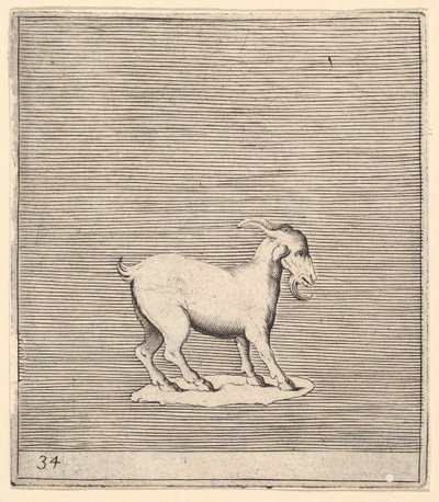 Ram, opublikowany ok. 1599-1622. autorstwa Unbekannt