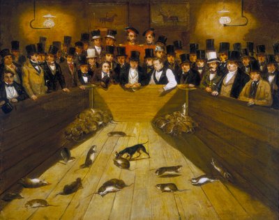 „Łapanie szczurów w tawernie Blue Anchor, Bunhill Row, Finsbury”, c1850 autorstwa Unbekannt