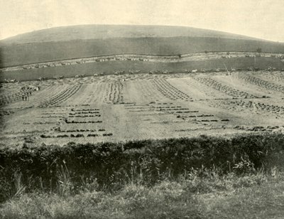 Konkurs Żniwiarzy i Binderów, Mount Blowhard, niedaleko Ballarat, 1901. autorstwa Unbekannt