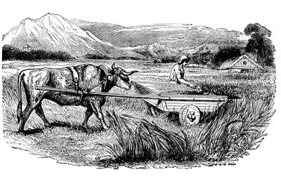 Rekonstrukcja rzymskiego wozu żniwnego, opisana przez Pliniusza, Rycina, 1860 autorstwa Unbekannt
