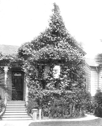 Rose Cottage, South Spring Street, Los Angeles, Kalifornia, USA, ok. 1900. autorstwa Unbekannt