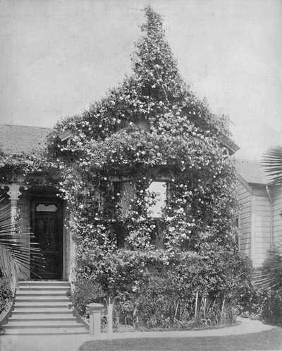 Rose Cottage, South Spring Street, Los Angeles, Kalifornia, ok. 1897 r. autorstwa Unbekannt