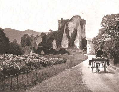 Zamek Ross, Wyspa Ross, Hrabstwo Kerry, Irlandia, 1894. autorstwa Unbekannt