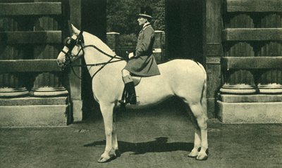 Royal Outrider w szkarłatnej liberii, lata 50. XX wieku. autorstwa Unbekannt