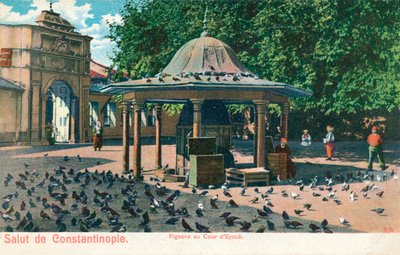 Salut de Constantinople - Gołębie na dworze Eyoub, ok. 1900 autorstwa Unbekannt