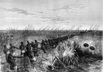 Łódź Samuel Bakers ciągnięta przez trawę rzeczną, 1864 1874 autorstwa Unbekannt