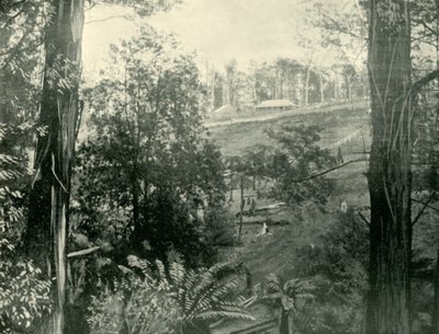 Scena w Upper Gembrook, Victoria, 1901. autorstwa Unbekannt