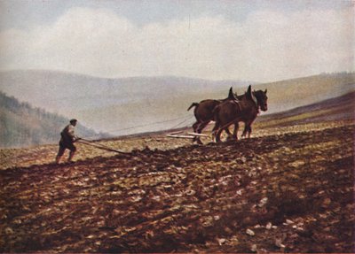 Szkocja, ok. 1930 autorstwa Unbekannt