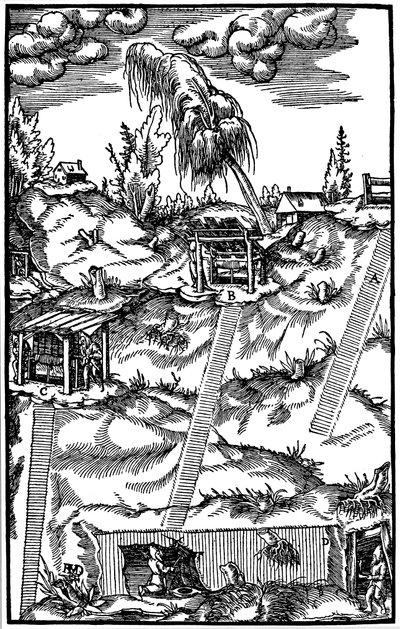 Przekrój niemieckiej kopalni, 1556 autorstwa Unbekannt