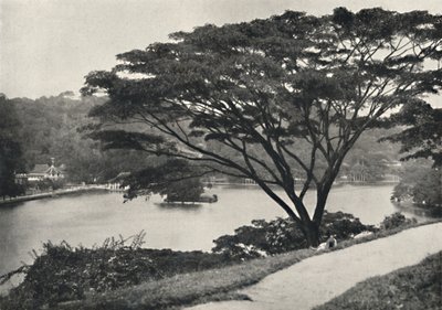 Jezioro, Świątynia Świętego Zęba Reed i Biblioteka w Kandy, widziana na wschód od Victoria Drive, 192 autorstwa Unbekannt