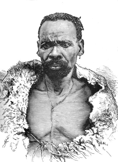 Drewno, ok. 1880 autorstwa Unbekannt