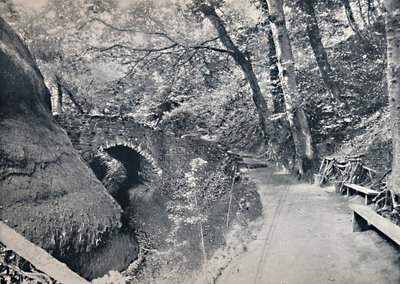 Shanklin - Chińczyk, 1895 autorstwa Unbekannt