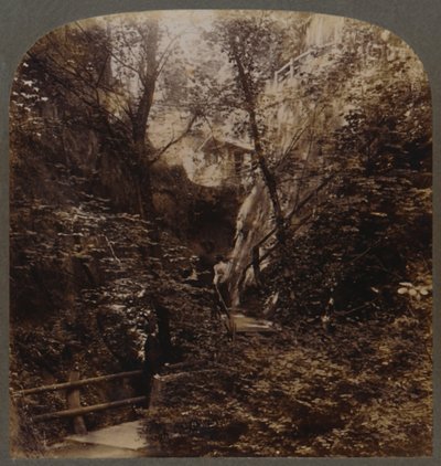 Shanklin Chine o światowej sławie, Isle of Wight, Anglia, c1910. autorstwa Unbekannt