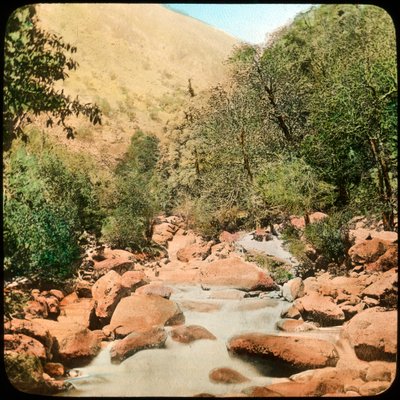 Sindh Valley, Kaszmir, Indie, koniec XIX lub początek XX wieku autorstwa Unbekannt