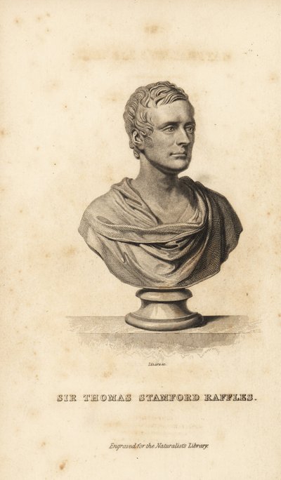 Sir Thomas Stamford Raffles, brytyjski mąż stanu, pisarz i przyrodnik autorstwa Unbekannt