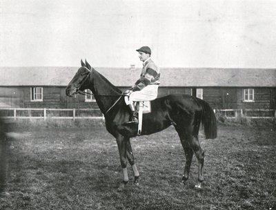 Drapacz chmur, 1911. autorstwa Unbekannt