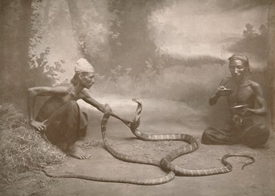 Zaklinacze węży z hamadriadami Kuy Cobras, 1900. autorstwa Unbekannt