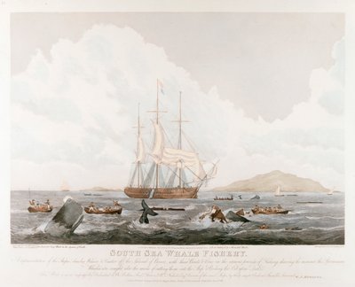 Łowisko wielorybów na Morzu Południowym, 1825 r. autorstwa Unbekannt