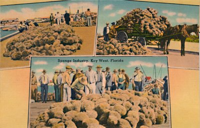 Przemysł gąbki, Key West, Floryda, c1940 autorstwa Unbekannt