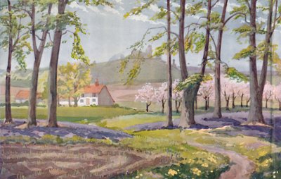 Wiosna - fizyczne, chemiczne i biologiczne zmiany wywołane przez słońce w ciągu roku 1935. autorstwa Unbekannt