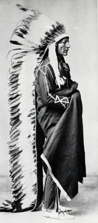 Stojący niedźwiedź, wódz Dakota Sioux, Indianie z równin północnoamerykańskich, c1885-c1890 autorstwa Unbekannt