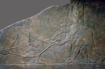 Kamienny panel z północnego pałacu Asurbanipal, Niniwa, północny Irak, neoasyryjski, c645 pne autorstwa Unbekannt
