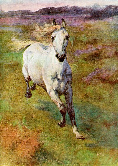 Studium z Life for Colt Hunting w New Forest, 1899 autorstwa Unbekannt