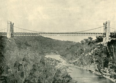 Most wiszący, Północne Sydney, 1901. autorstwa Unbekannt