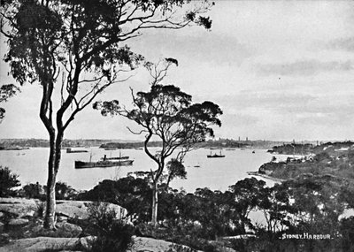 Sydney Harbour, von Cremorne Point, um 1900 von Unbekannt
