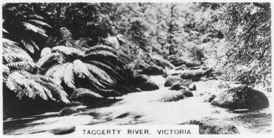 Rzeka Taggerty, Wiktoria, Australia, 1928 autorstwa Unbekannt