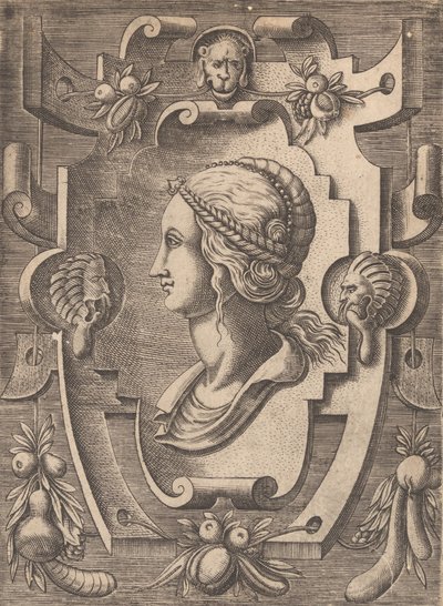 Tablice i inne ozdoby z różnymi i kapryśnymi wynalazkami Kartusze i inne ozdoby z ..., 1773. autorstwa Unbekannt