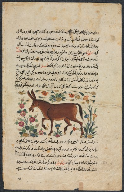 Strona tekstowa, perska proza recto, Khar Ass Verso, 1400s. autorstwa Unbekannt