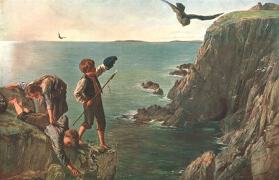 Bonxie, Szetlandy, 1873, c1902. autorstwa Unbekannt