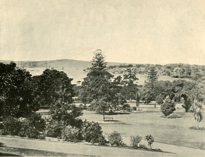 Ogrody Botaniczne Sydney, 1901. autorstwa Unbekannt