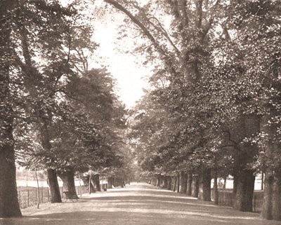 The Broad Walk, Oksford, 1894. autorstwa Unbekannt