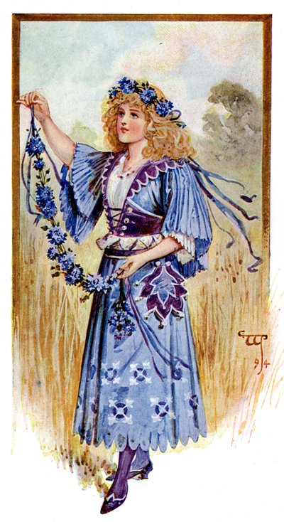 Chaber, 1899 autorstwa Unbekannt