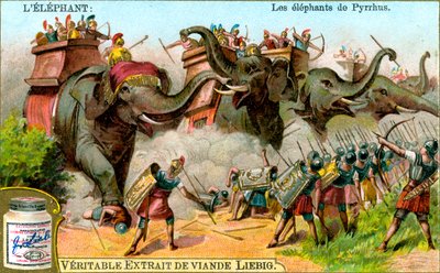 Słonie z Pyrrusu, ok. 1900 r. autorstwa Unbekannt