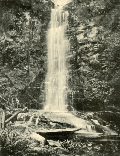 Wodospady Erskine, niedaleko Lorne, 1901. autorstwa Unbekannt