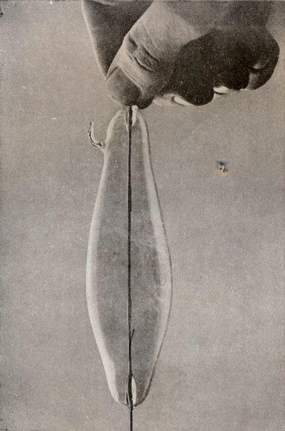 Pierwsza żarowa lampa elektryczna, c1916 autorstwa Unbekannt