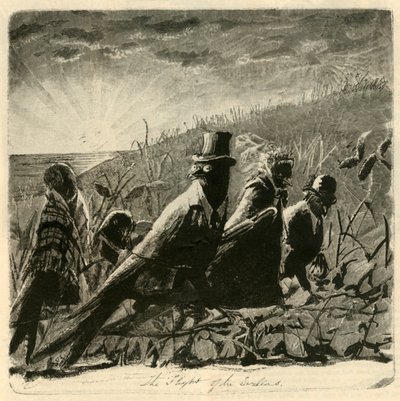 Lot jaskółek, 1882. autorstwa Unbekannt