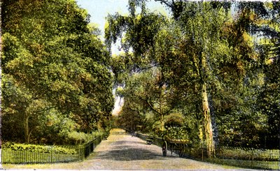 The Flower Walk, Kensington Gardens, Londyn, XX wiek autorstwa Unbekannt