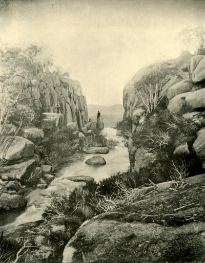 Wąwóz, Buffalo Falls, Alpy Wiktoriańskie, 1901. autorstwa Unbekannt